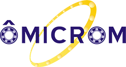 Ômicrom